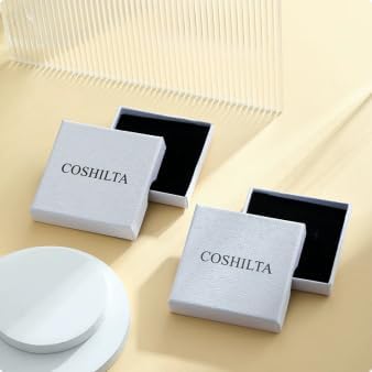 Coshilta Layered Gold Necklaces for Women, 14K Plated Gold Sterling Silver Plated Dainty Pendant Necklace Set with Cubic Zirconia,Stackable Chain Choker,Trendy Personalized Jewelry Gift Non Tarnish